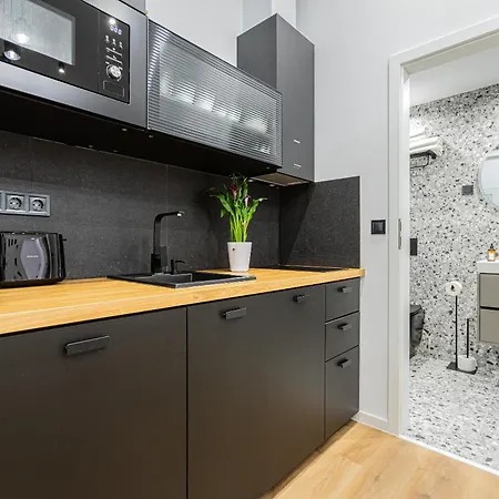 Deluxe4 With 2 Next To The Synagogue Free Air Conditioner, Sauna Βουδαπέστη